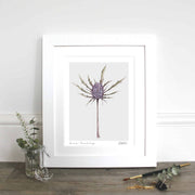 Sea Holly Mounted Fine Art Print